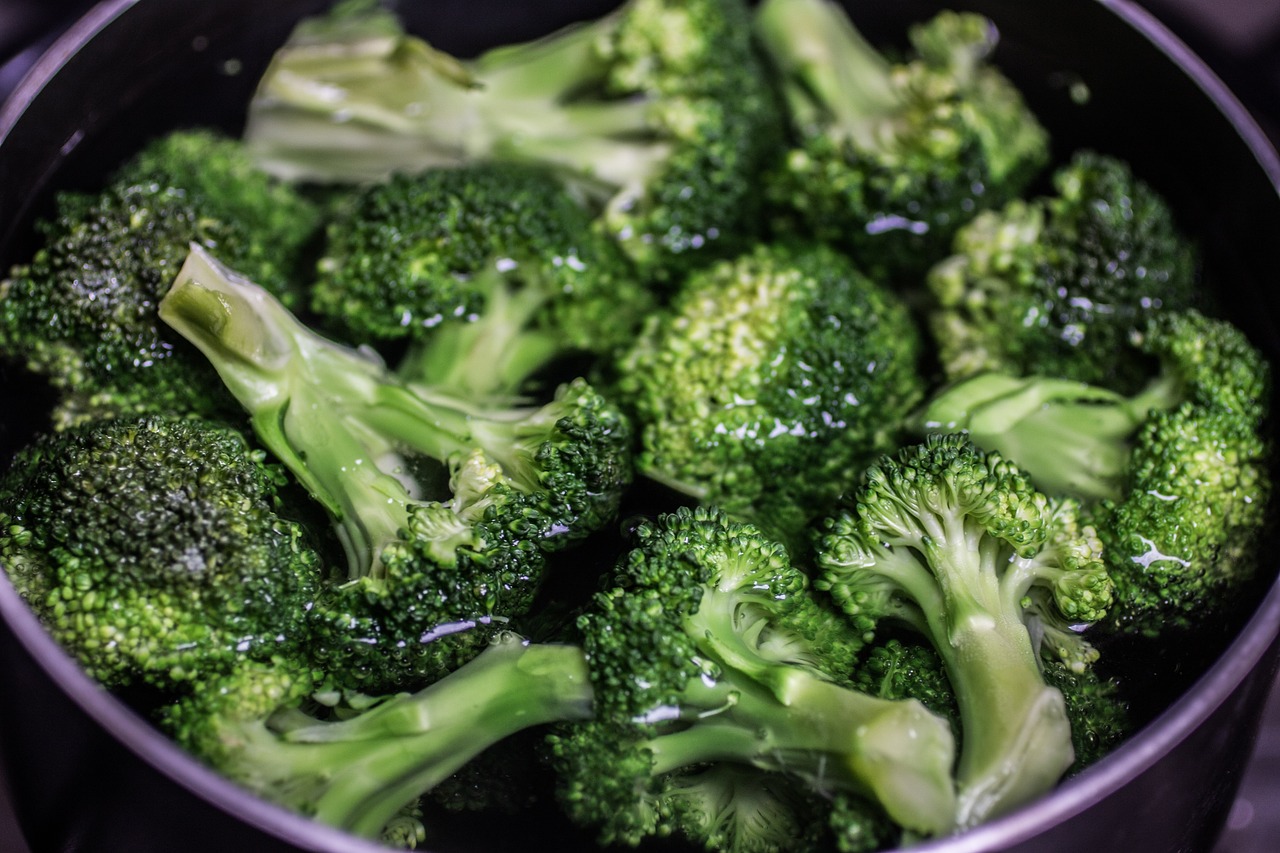 Understanding the Benefits of Adding Broccoli to Pet Meals